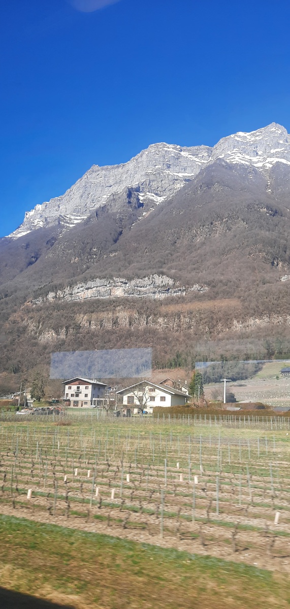 На переднем плане виноградники, из этого винограда приготовят вкусное Савойское. Фото автора