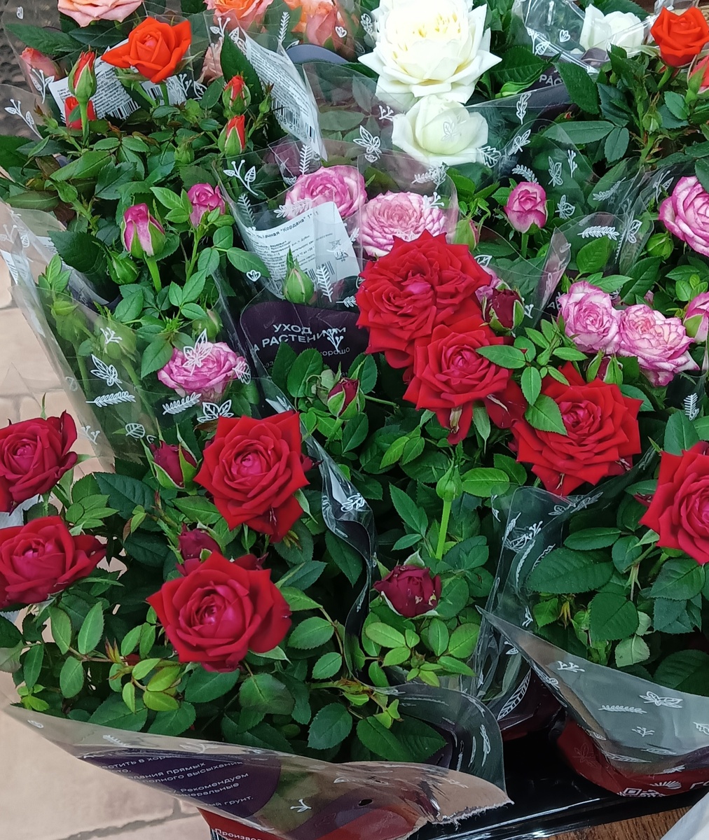 Архивная фоточка