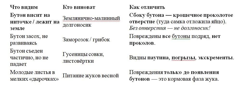 Таблица и фото Натальи Мироновой