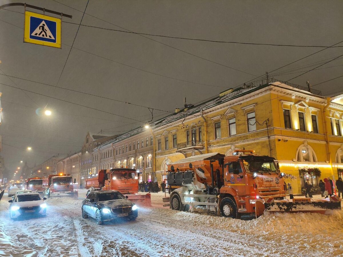 Фото: Александр Глуз/«Петербургский дневник»