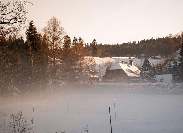 Фотограф: Carolin Wenske: https://www.pexels.com/ru-ru/photo/30091399/