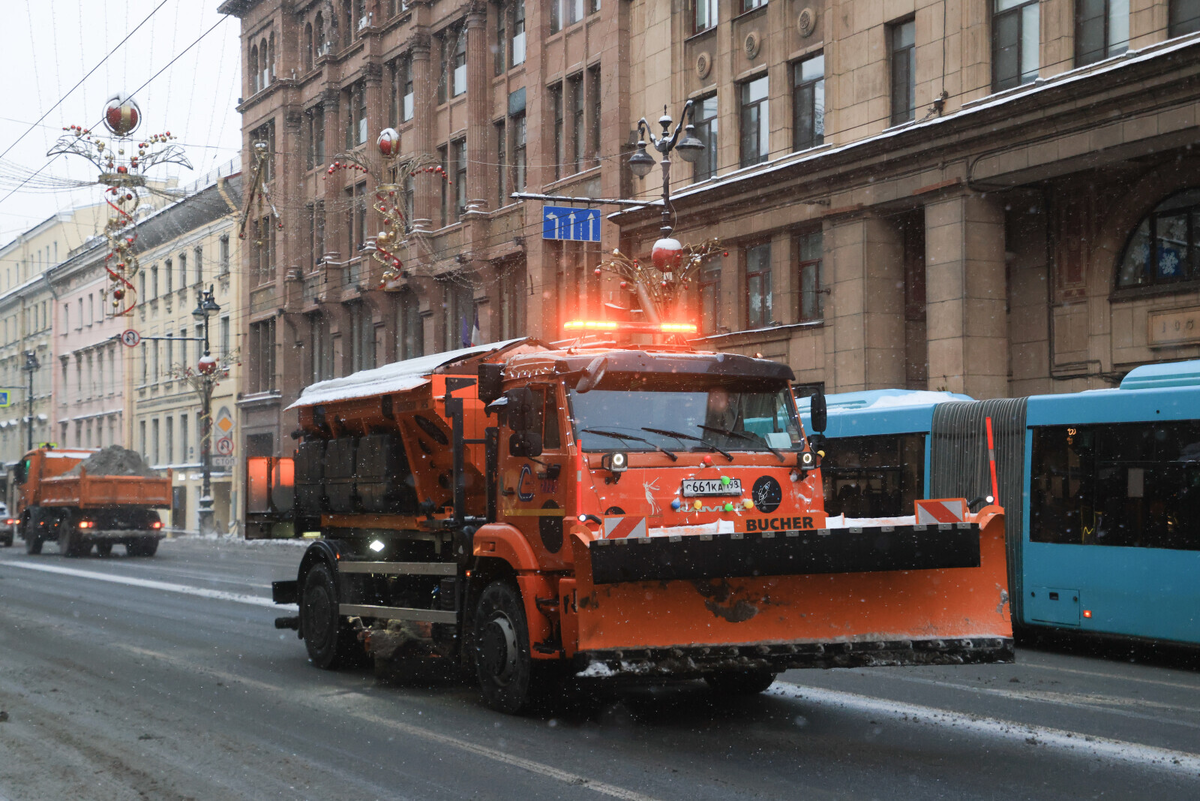 Фото: Александр Глуз / «Петербургский дневник»