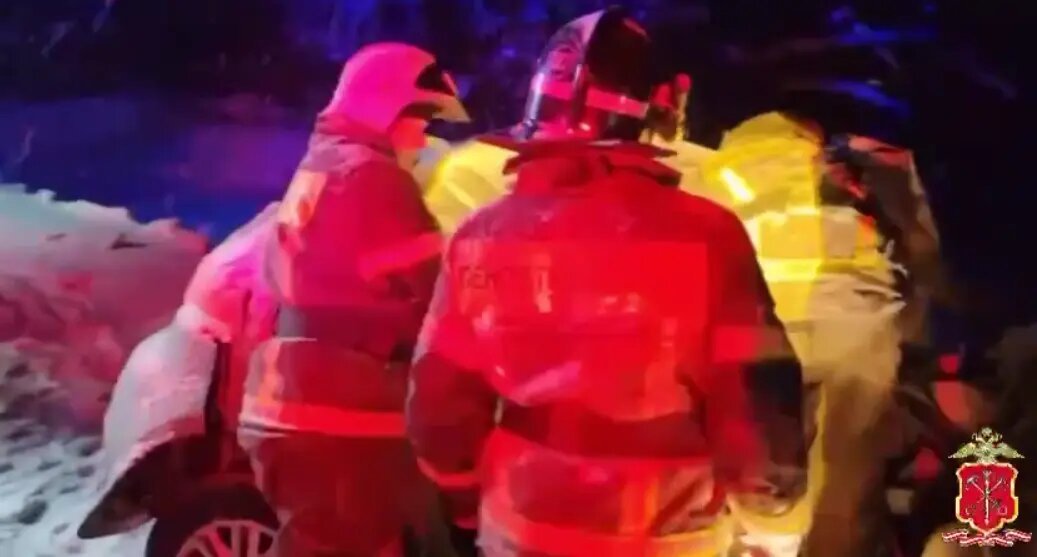    Фото: пресс-служба ГУ МВД России по Петербургу и Ленобласти