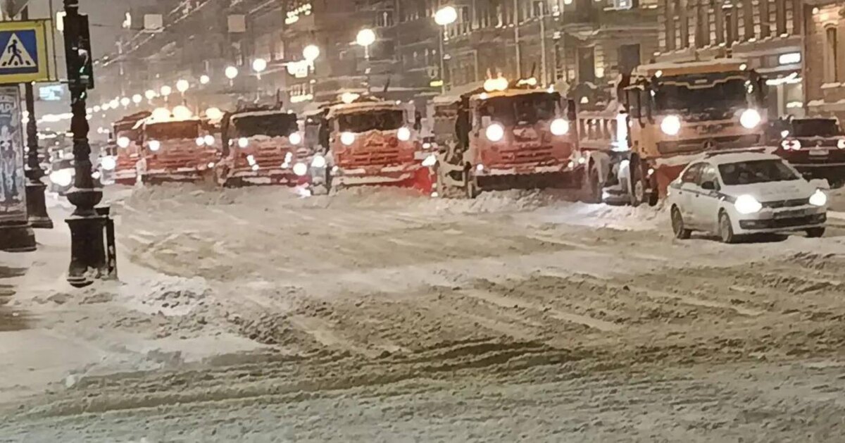Фото: Комитет по благоустройству Петербурга