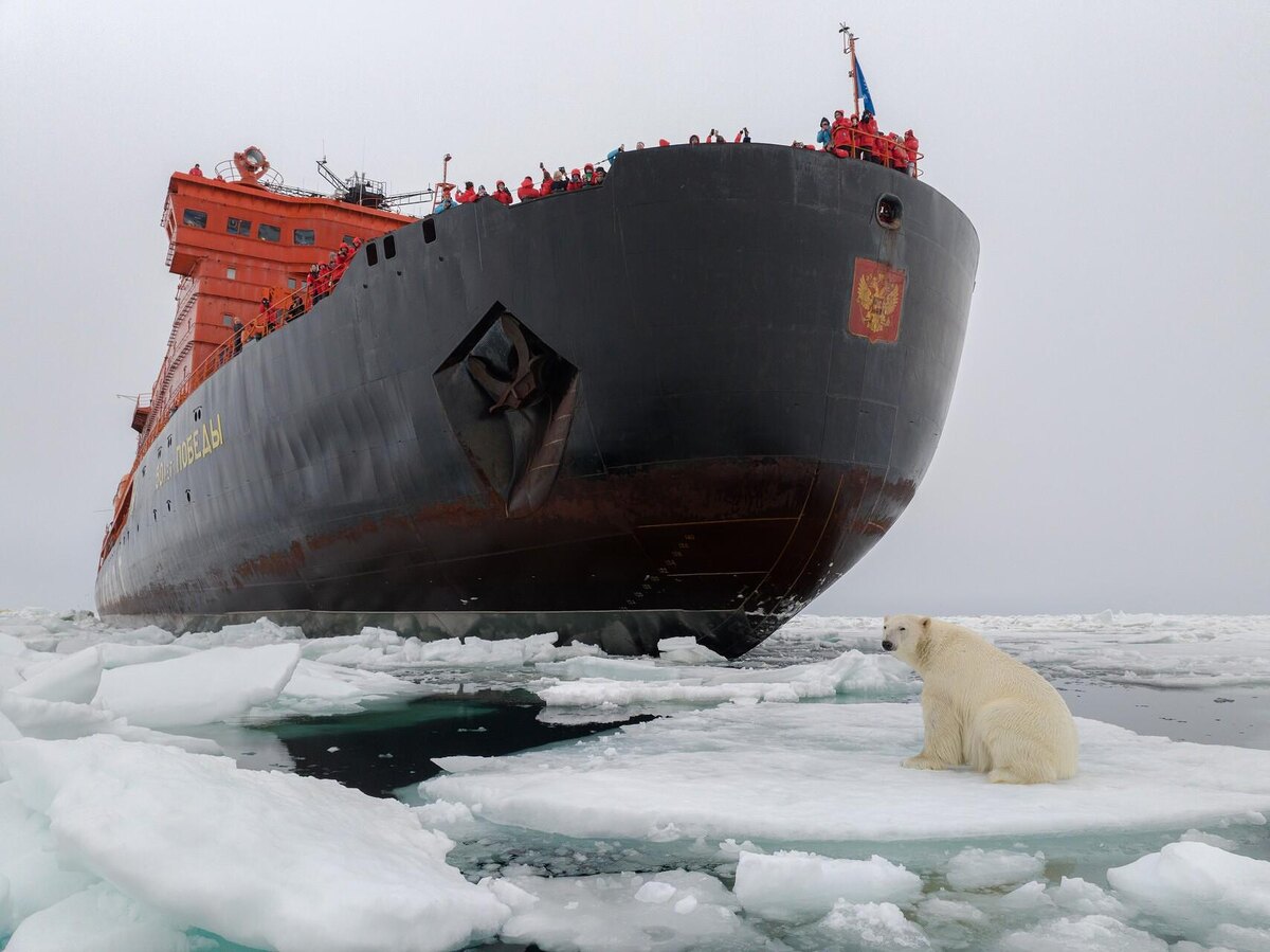    фото:Вадим Махоров