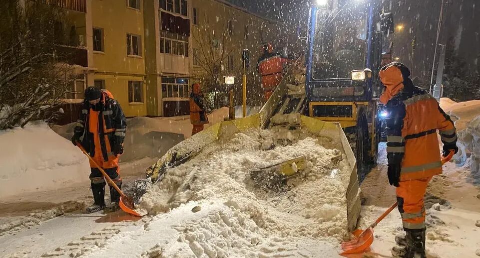    Анна Артюшина