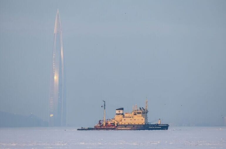   Артем Пряхин / РИА Новости