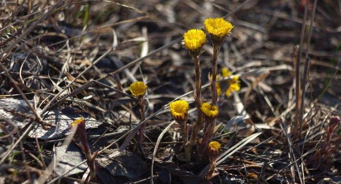    медиасток.рф