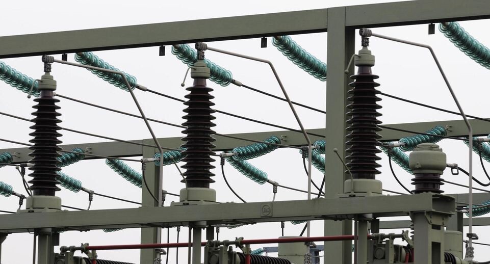    Hartmut Schmidt/imageBROKER.com/Global Look Press / www.globallookpress.com