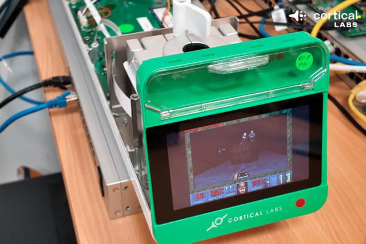    Фото: Cortical Labs