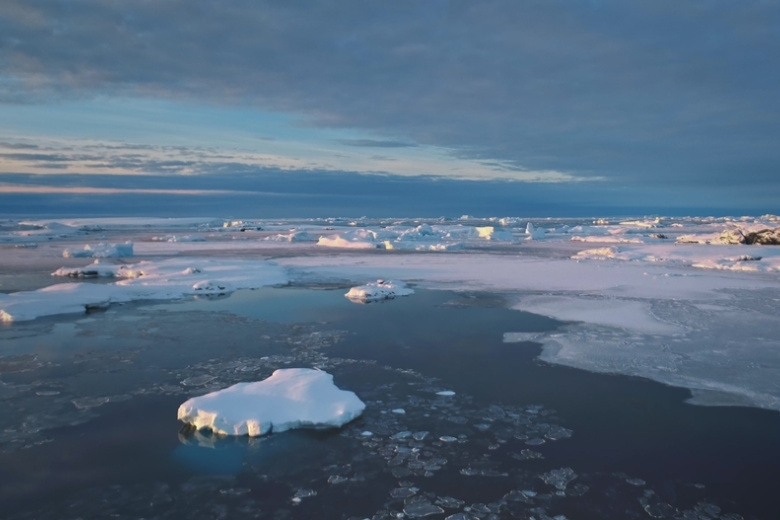    Shutterstock/FOTODOM