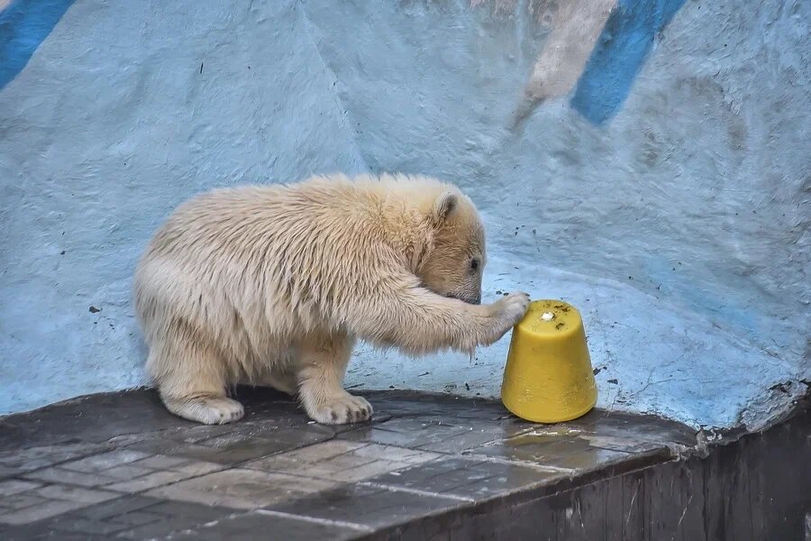    Фото: Сиб.фм/ Сиб.фм