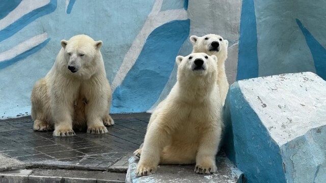    Фото: Сиб.фм/ Сиб.фм