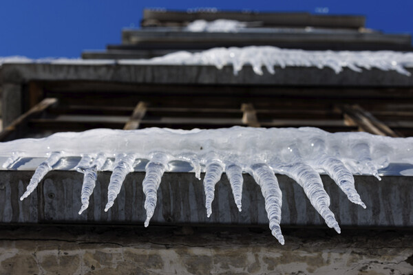 Sergey Elagin/Global Look Press   📷