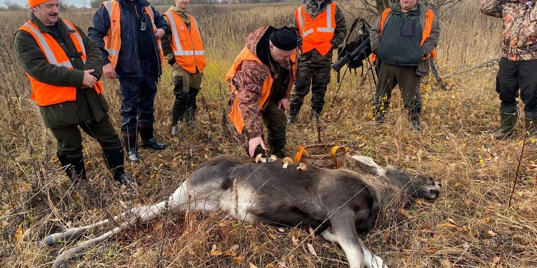 Сигнальный жилет на охоте: прихоть или необходимость?