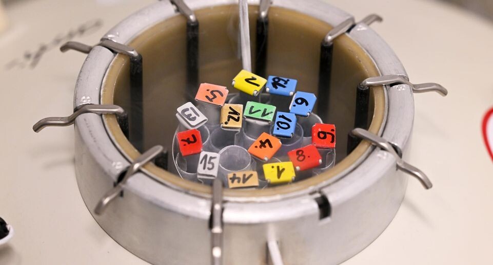    Jens Kalaene/dpa/Global Look Press / www.globallookpress.com