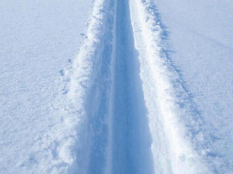     Фото: сгенерировано ИИ