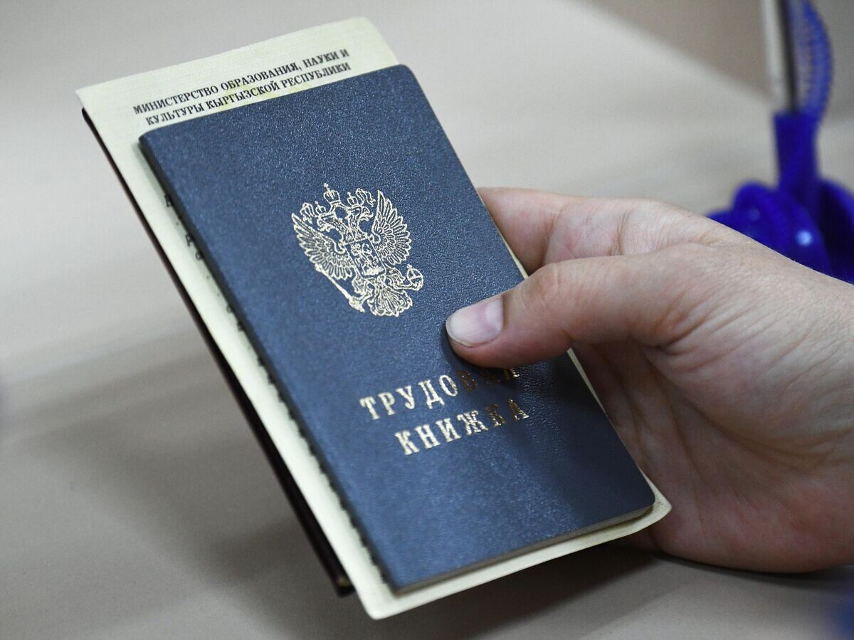    Сотрудница Центра занятости населения Ленинского района в Новосибирске держит в руках документы посетителя | © РИА Новости / Александр Кряжев