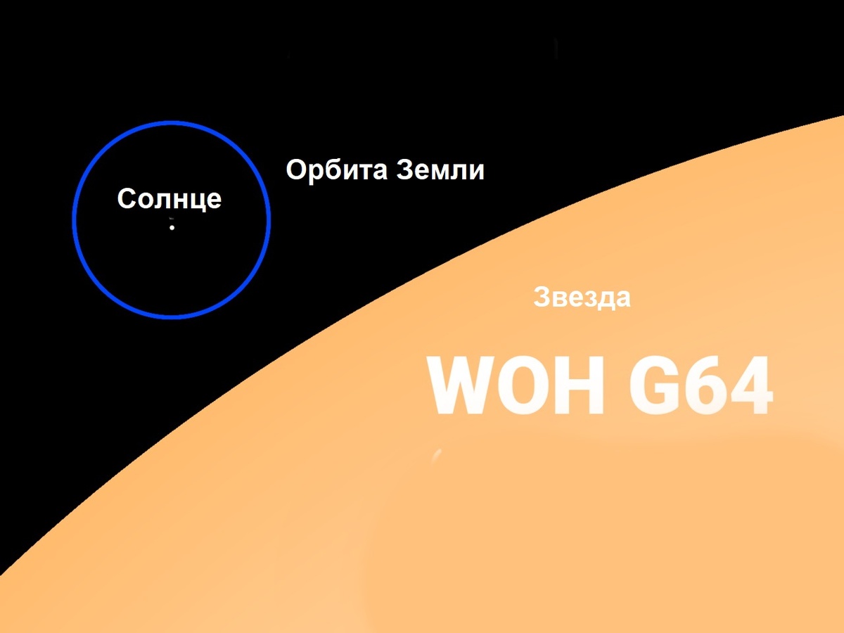 Изображение: Wiki