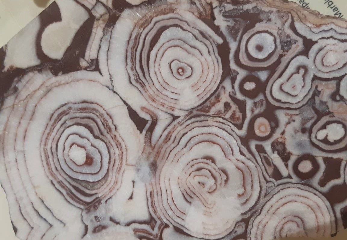 Яндекс Картинки