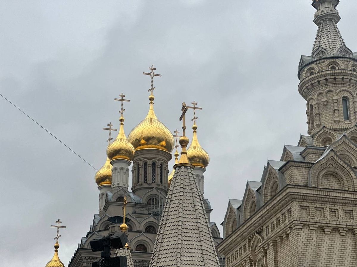     Фото: "Бриф24"