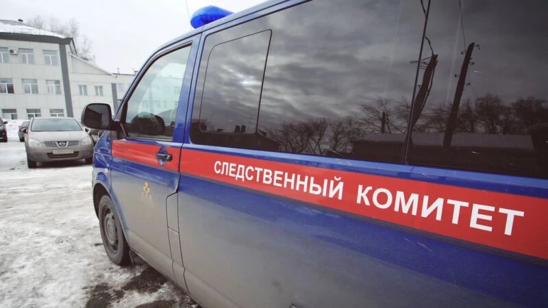     Следственный комитет. Анна Зайкова