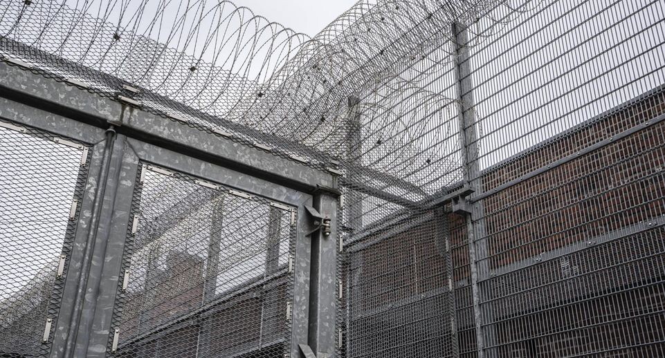    IMAGO/Picturepower/Werner Scho / www.globallookpress.com