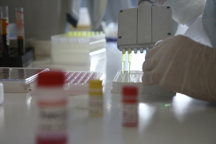    Фото из архива VN.ru