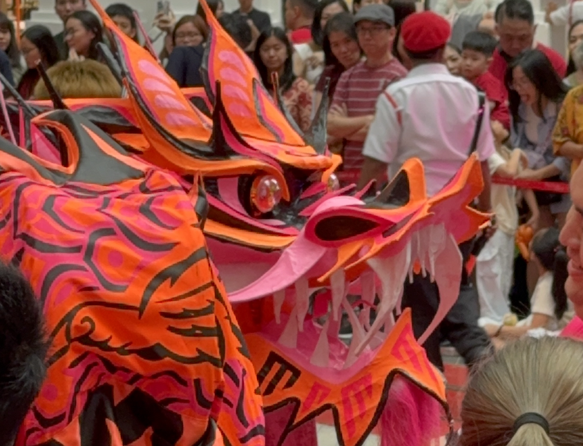 Красавец-дракон