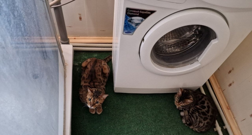    Фото Анастасии Дмитриевой