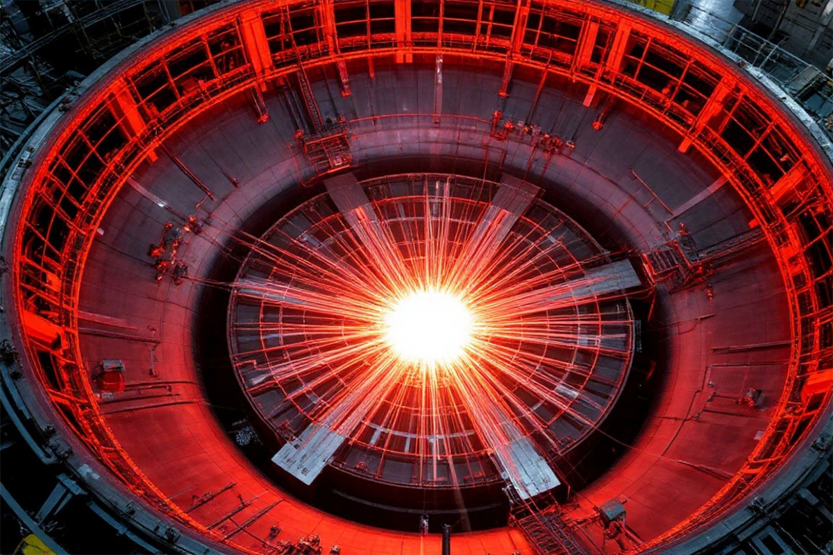    Фото: коллаж RuNews24.ru