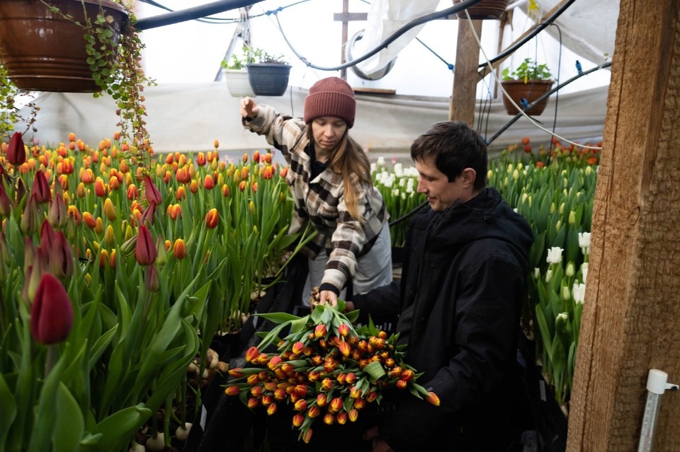   Высаживать луковицы Дмитрий и Кристина Поповы начали всего месяц назад. Любовь ЛАНЧЕВА