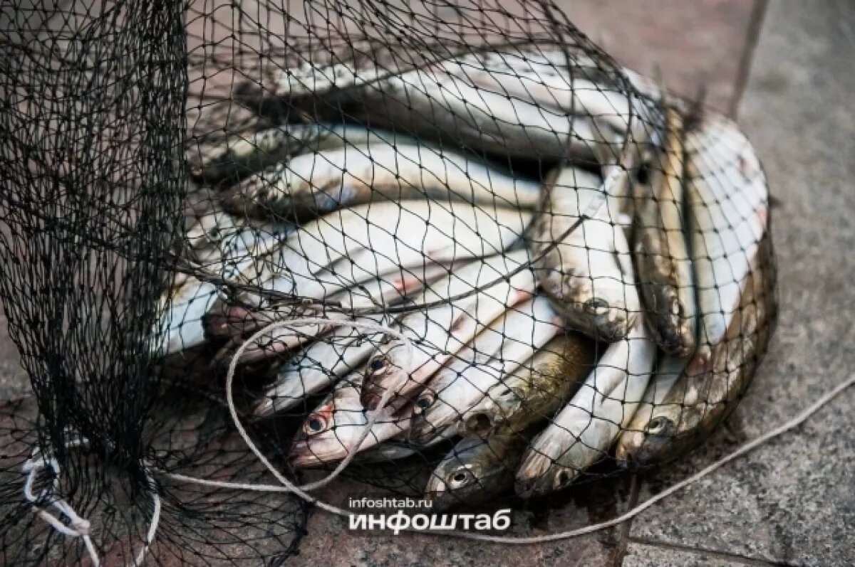    Астраханские рыбаки предстанут перед судом за ущерб на полмиллиона