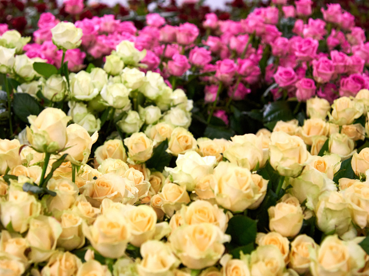     Фото: Сиб.фм