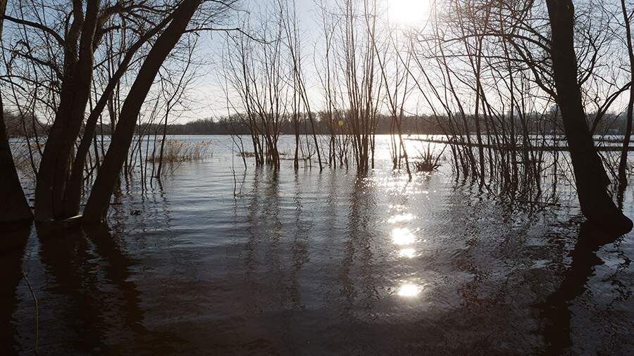    Фото: Global Look Press/Kirill Chubotin