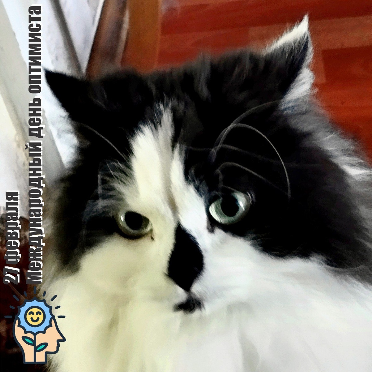 🐾 Комментарий Котейки По Имени Роршах: