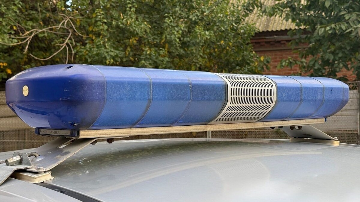    Фото: телеканал «Краснодар»