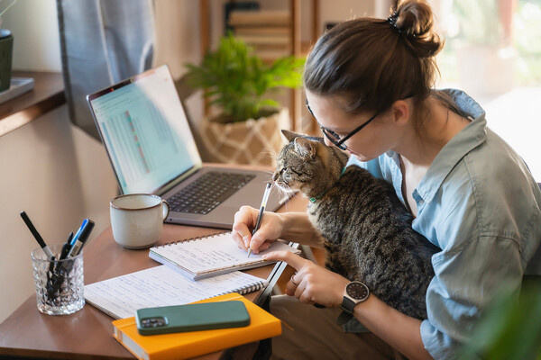 Olezzo/Shutterstock/FOTODOM   📷