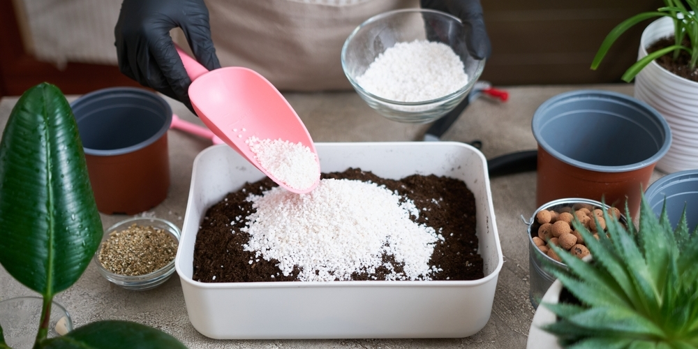 Яндекс. Картинки