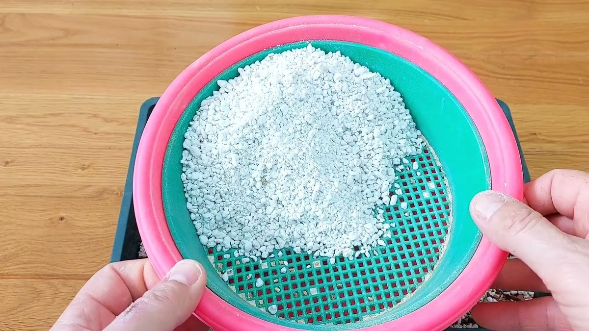 Яндекс. Картинки