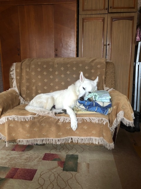 Ангел отдыхает