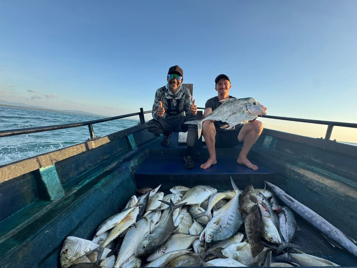 Могло быть так... 