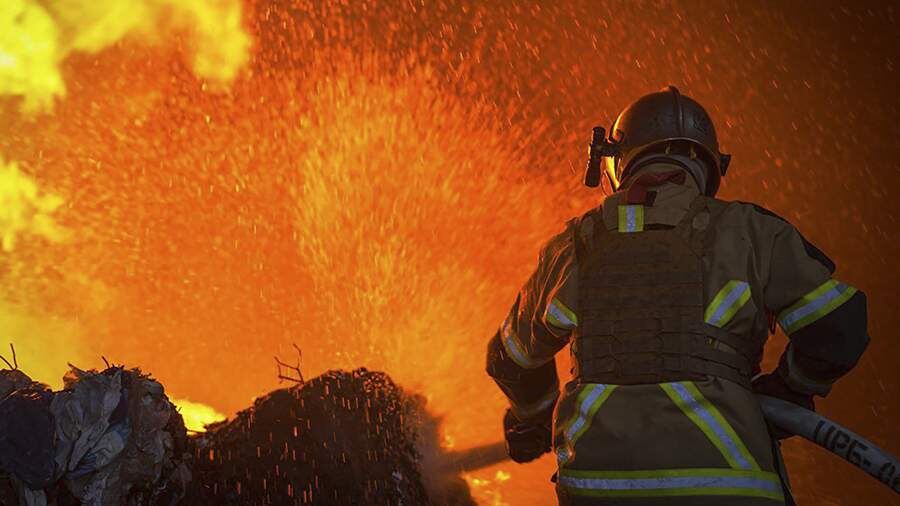    Фото: Global Look Press