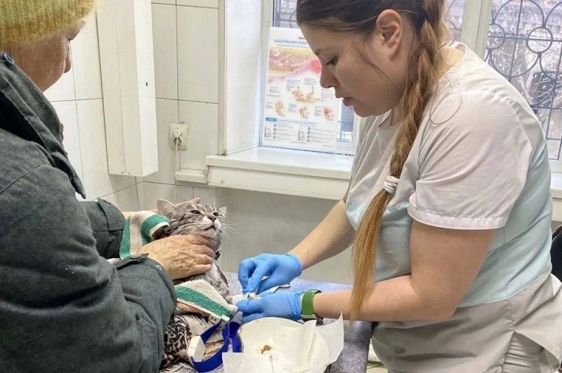    Фото: Ассоциация ветеринарии Иркутской области