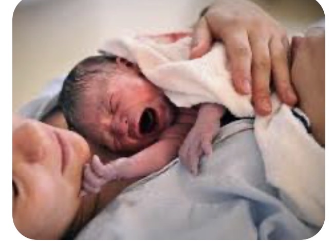 Фото взято из открытых источников 