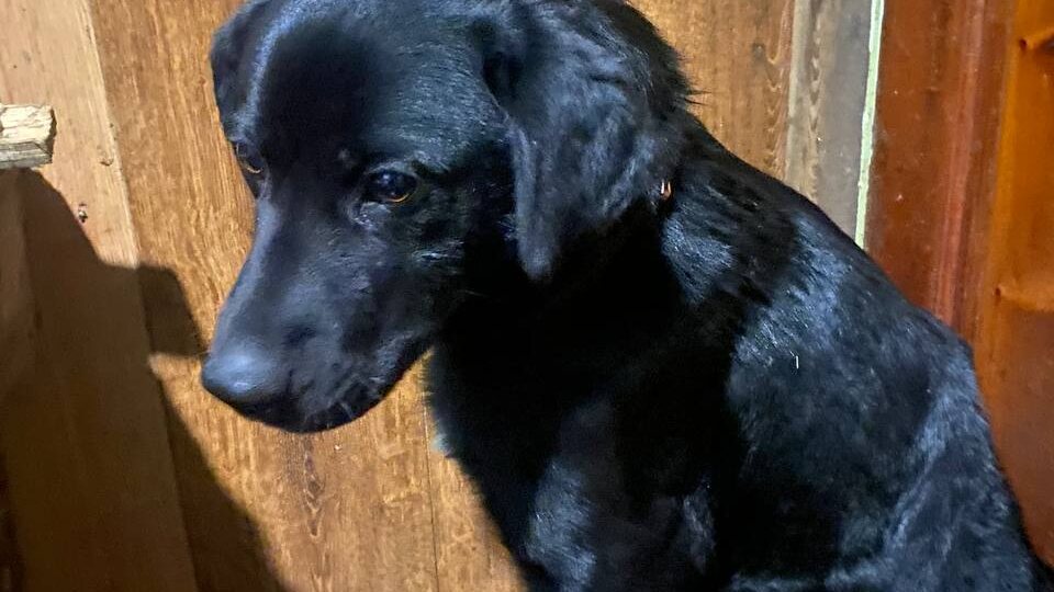 О сборах, нуждах, новичке и не только.