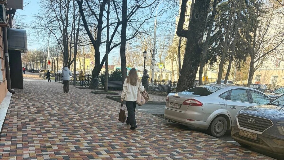    Ветер и мороз ворвутся в Ставропольский край на выходных   newstracker.ru