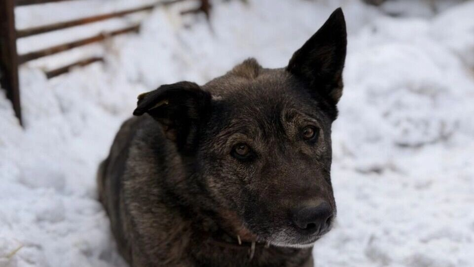 фото из открытых источников