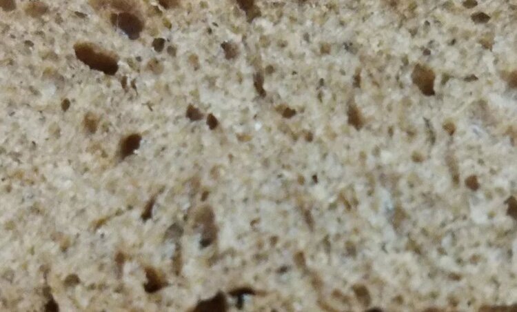    Фото: Лукьянов Дмитрий, AgroXXI.ru