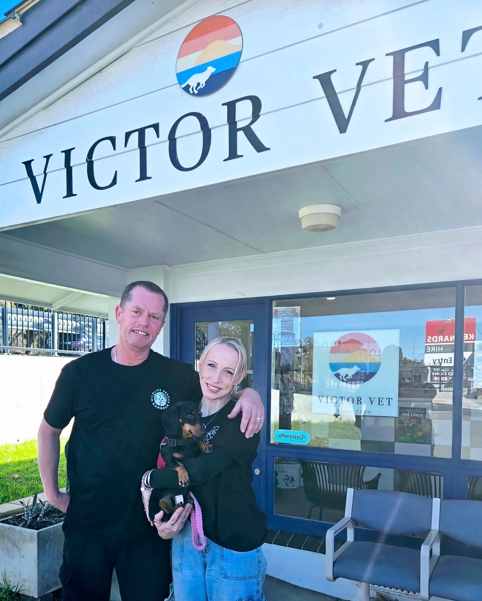 Владельцы Валери — Джорджия Гарднер и Джош Фишлок / архивное фото 